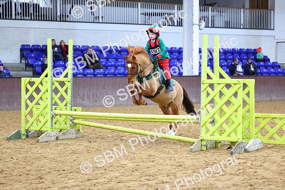 SBM_001359 - Class 3 - Christmas Tree Stakes - 60cm