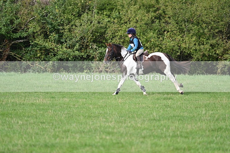 WJ7_8455 - 60cm Pairs