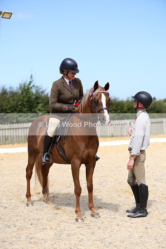 1X9A8375 - Class 13: Arab Ridden