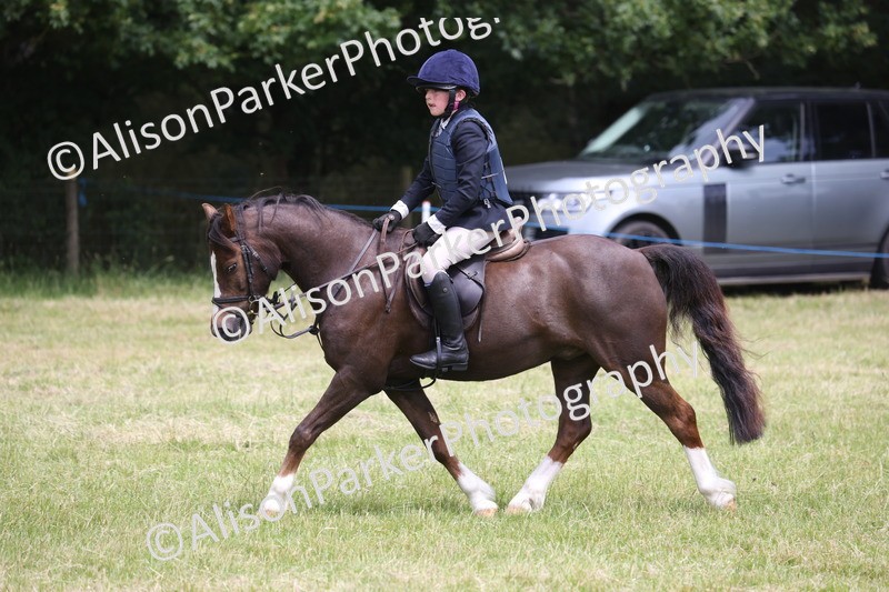20260614-2801 - Class 22 - Open Working Hunter