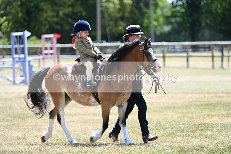 WJ7_2673 - Class 6 Ridden Mountain and Moorland