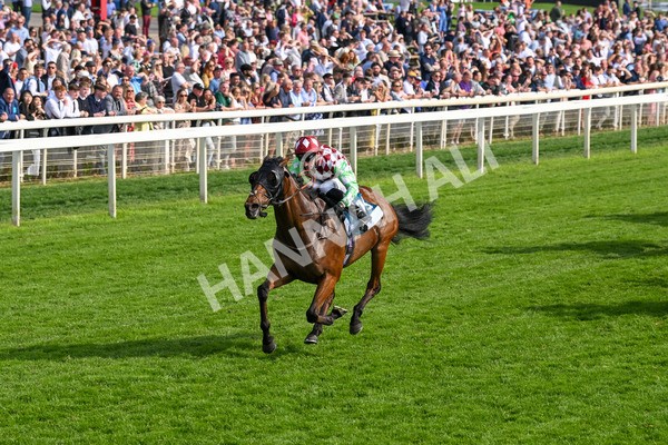 170524-Race 6-Riot-8514 - Race 6 4.45pm Yorkshire Equine Practice Handicap
