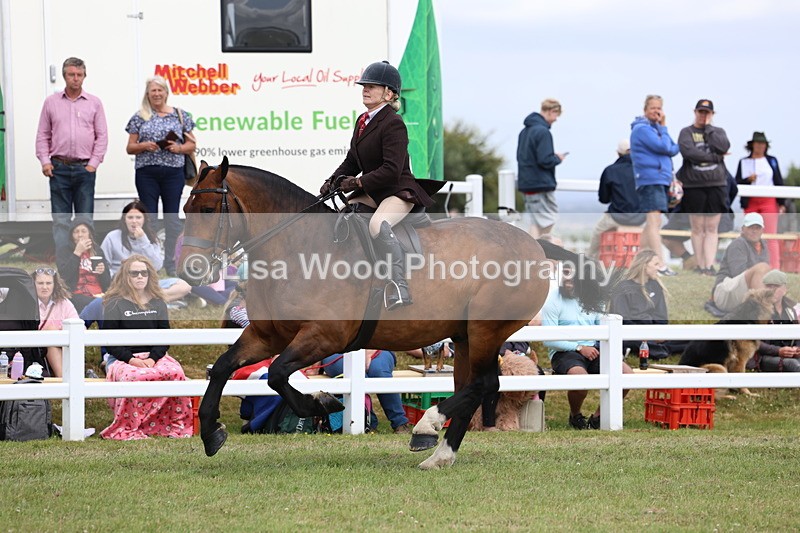 3E7A2042 - Class 10: Open Cob