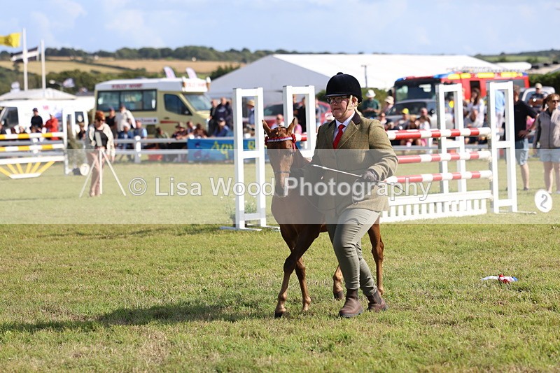 3E7A3896 - Supreme Championship