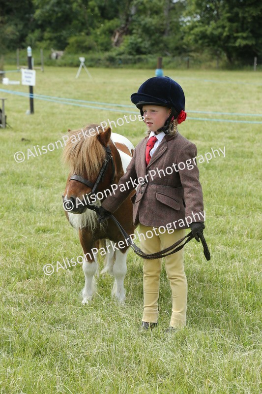 20260614-4267 - Class 18 - Best Junior Handler