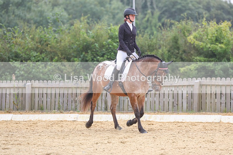 3E7A5385 - Class 2: Intro 4 2024 section B