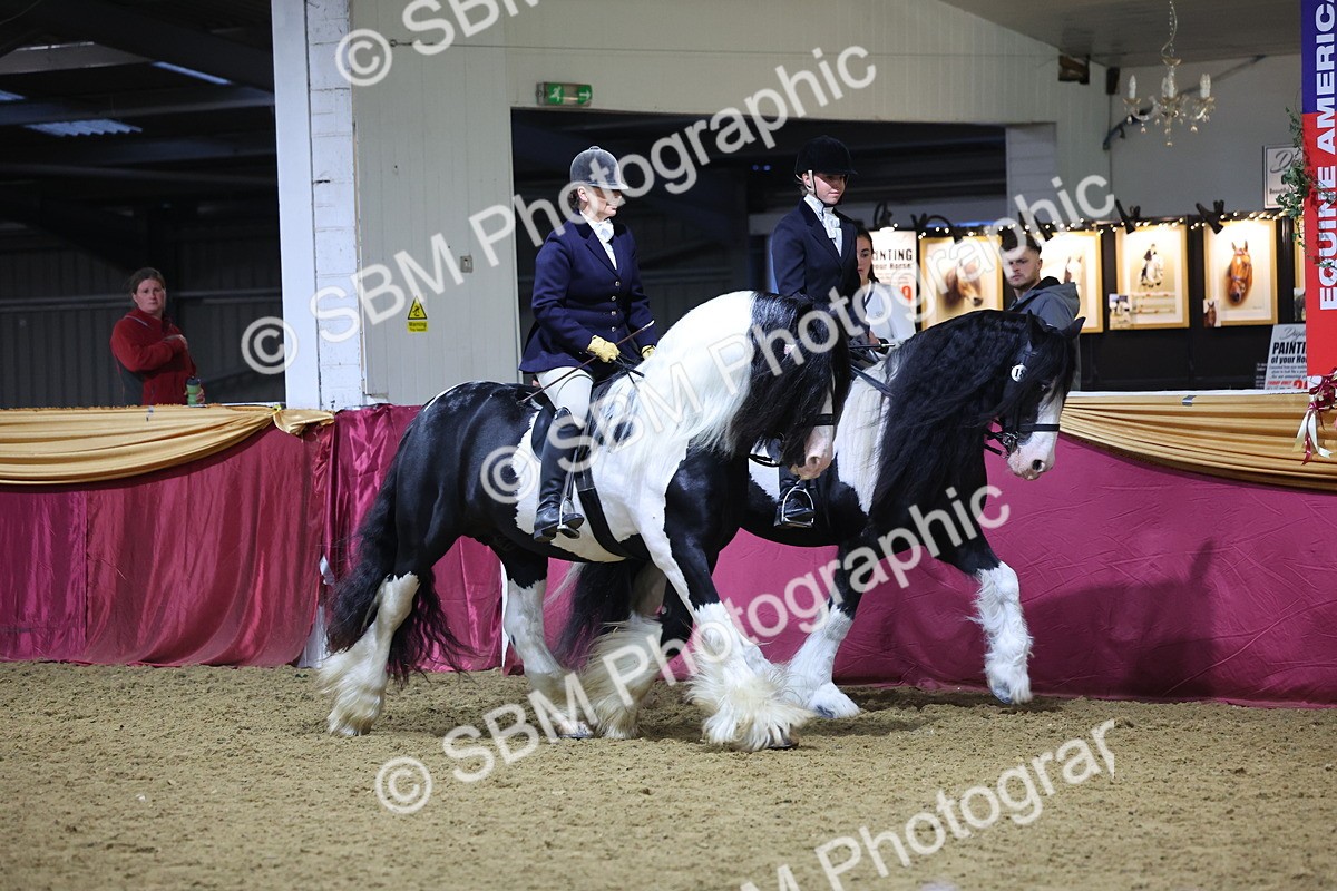 0B8A4347 - Class M Ridden Pairs Champ