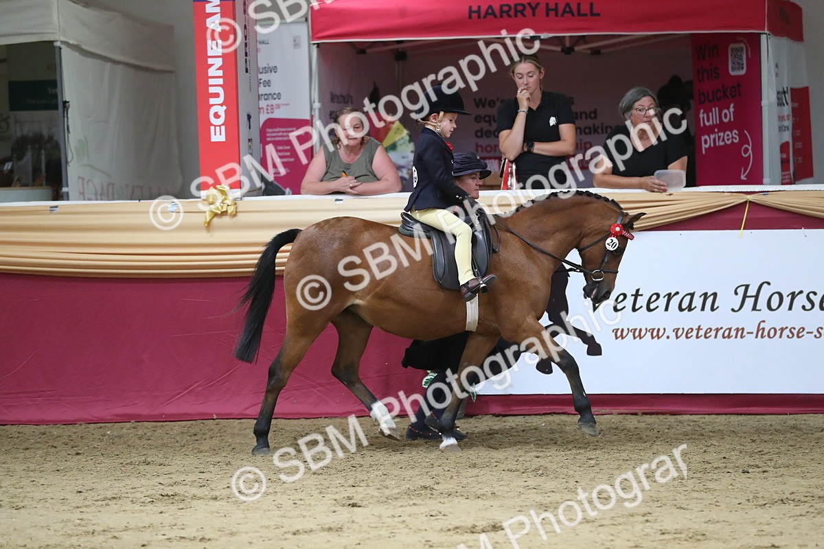 SBM_08365 - Class 11R Regional Ridden Veteran