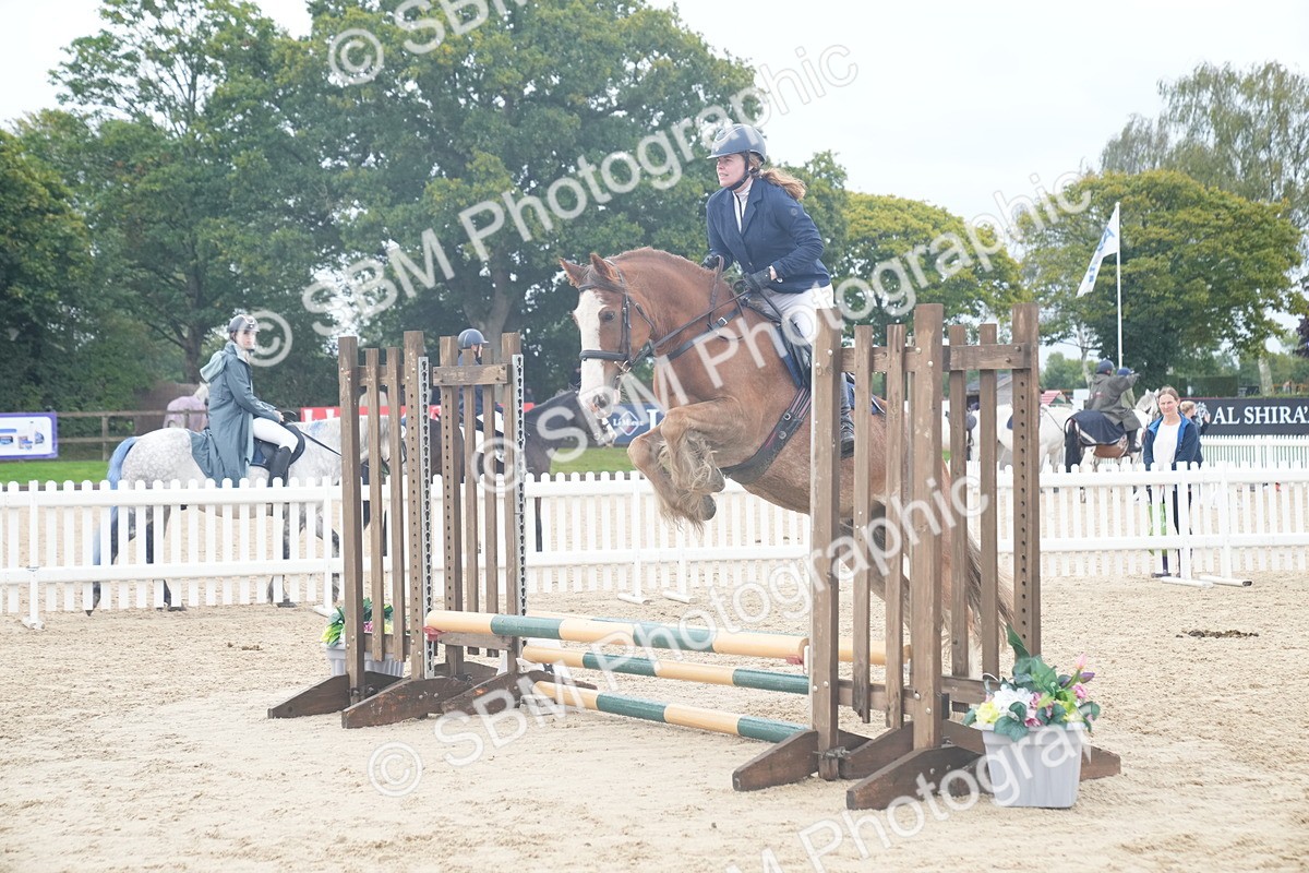 SBM_01849 - J54 - Clear Round 50cm