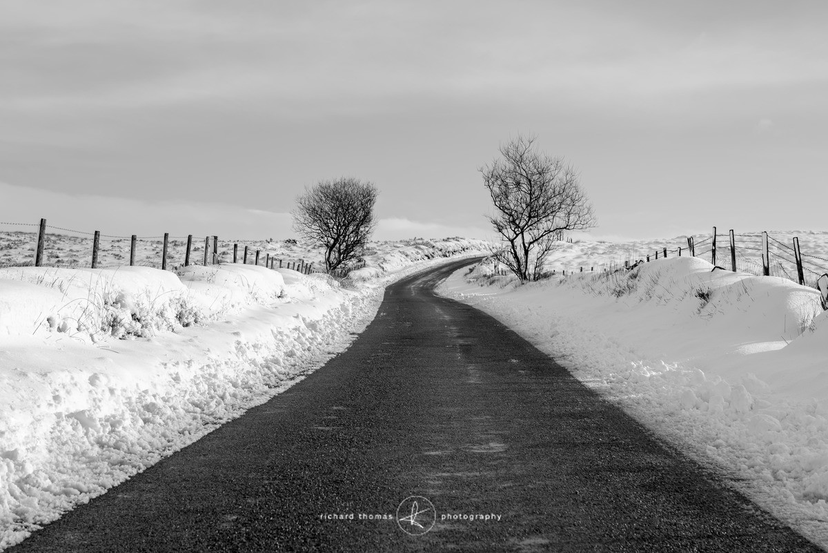 Black Ice - WINTER