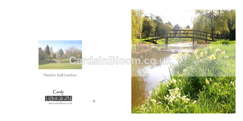 06 Daffodils and the river Stour, Thurlow Hall Gardens - GARDENS