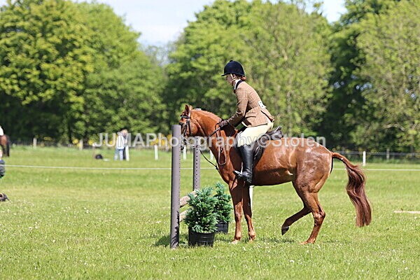IMG_3777 - Working Hunter