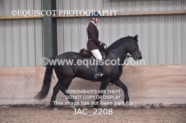 JAC_2208 - CLASS 2 Novice Working Hunter