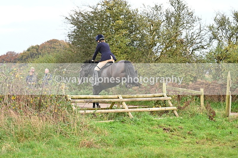 WJ7_0390 - Camera 1 & Last fence
