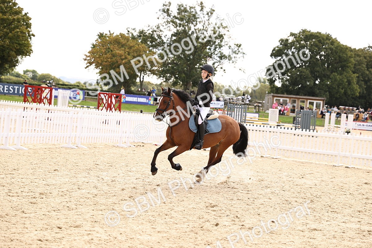 SBM_64042 - J12 - Junior Pony 55cm Championship