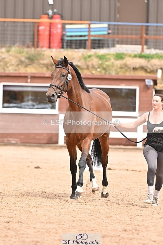 250716-154024-02103 - Trot Up 3.30 to 4.30