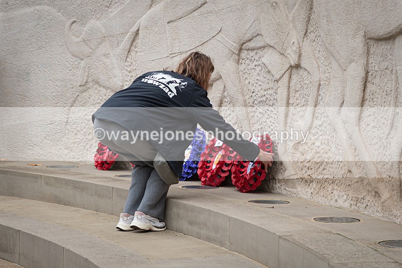 Z62_4601 - Animals In War Memorial 2025 - Park Lane, London