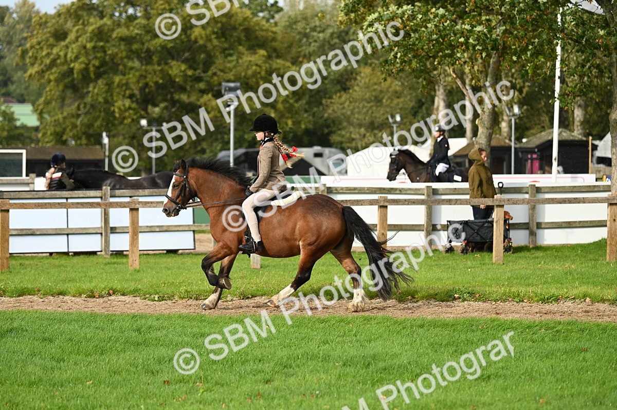SBM_26639 - S7 - Novice & Newcomer Ridden Pony