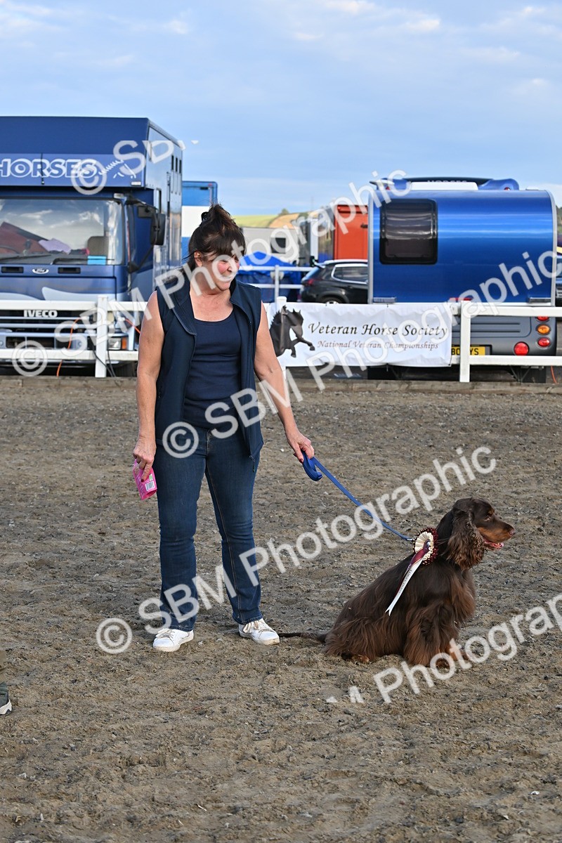 SBM_09503 - Lorry Dogs