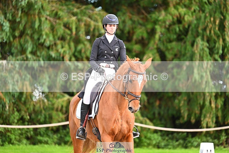 231021-162038-21097 - 265-EG.TIGER.CHILLI-Tayla.Mason-DR