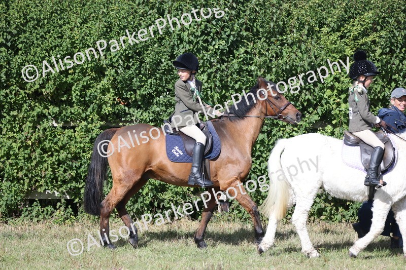 20250831-1001 - Class 15 - Ridden Veteran