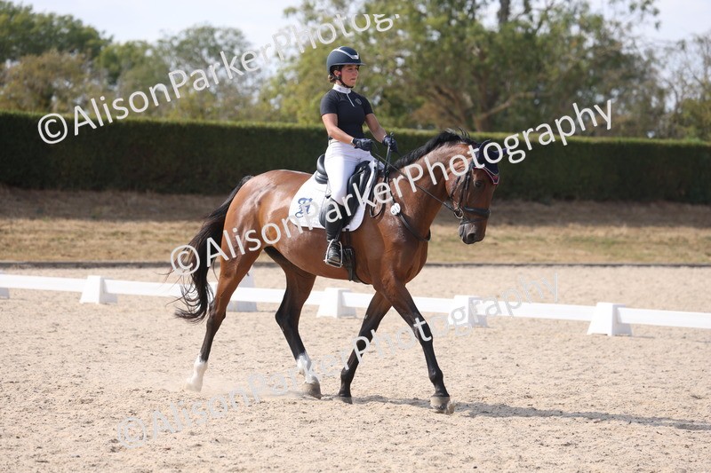 20260815-1096 - Class 6 - Novice 2
