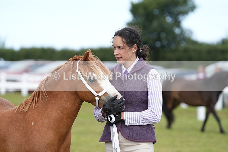 DSC05543 - Class 50: NPS M&M 4 years and over Small Breeds