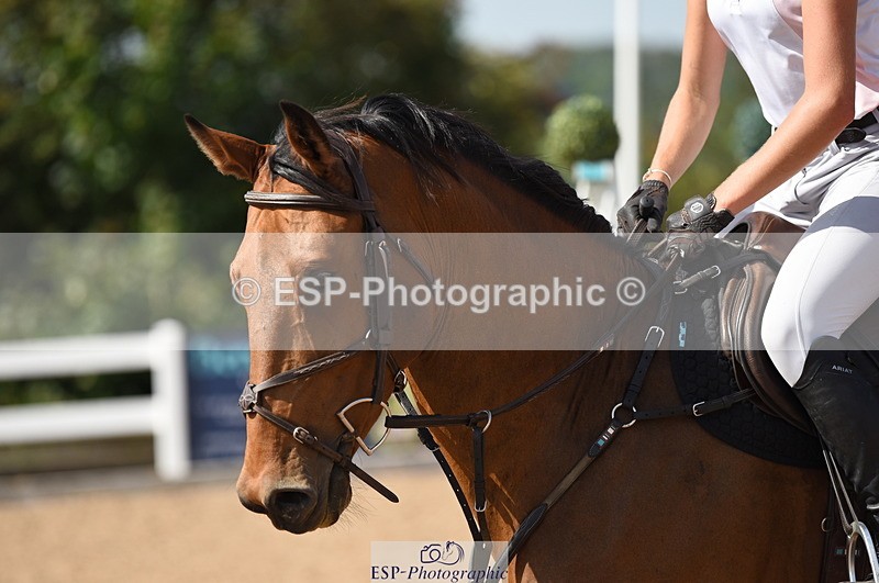 230906A-125012-00337 - Newcomers & 1.10m Open