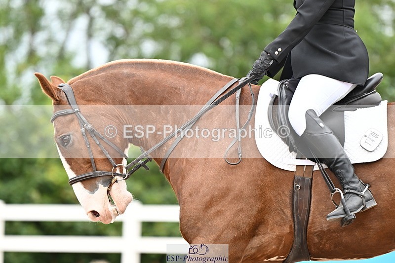 240817A-143350-09485 - 140-Kirsty.Clackworthy-Stitch.1