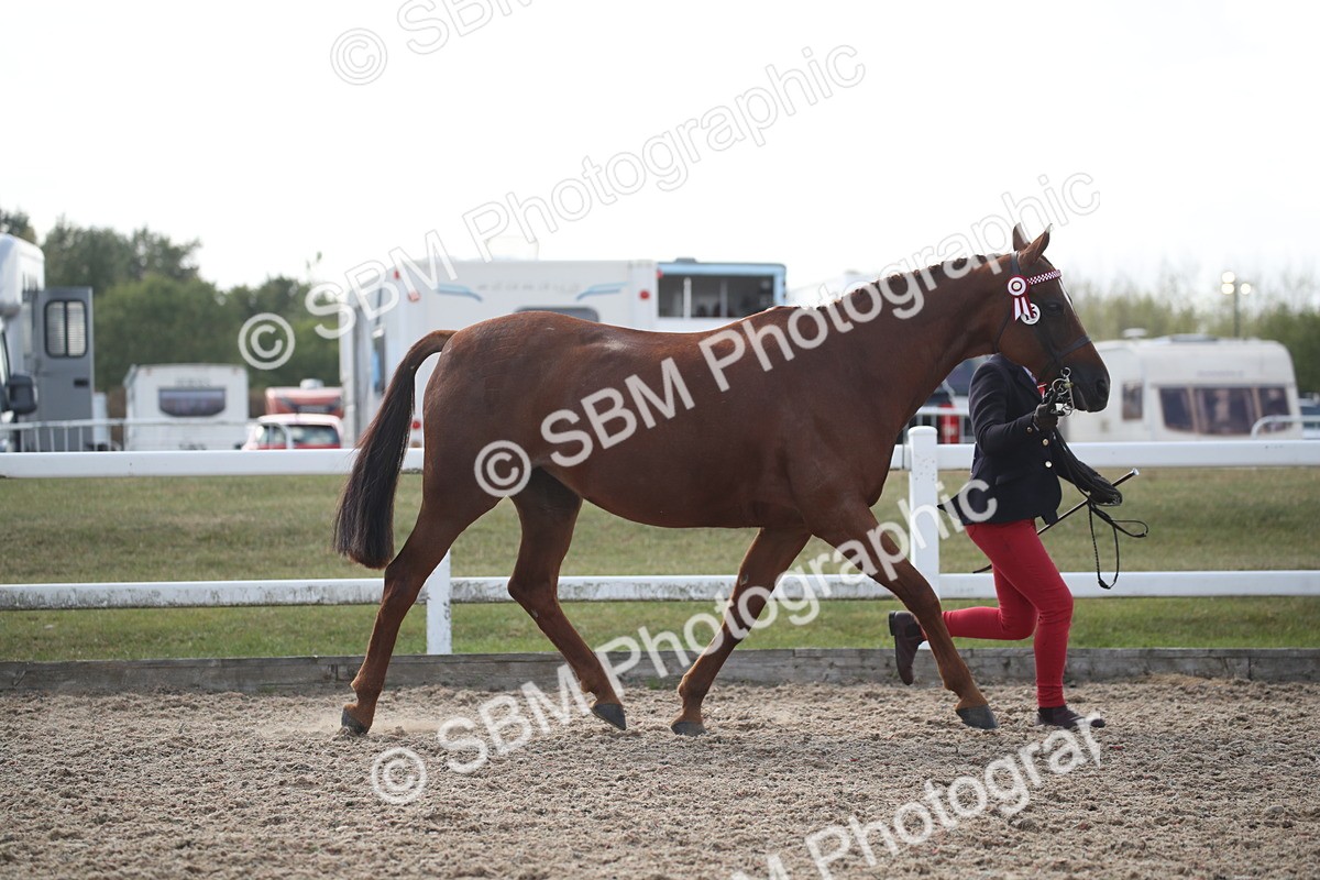 SBM_23116 - Class 606 - 2026 - Area - IH Pre Vet