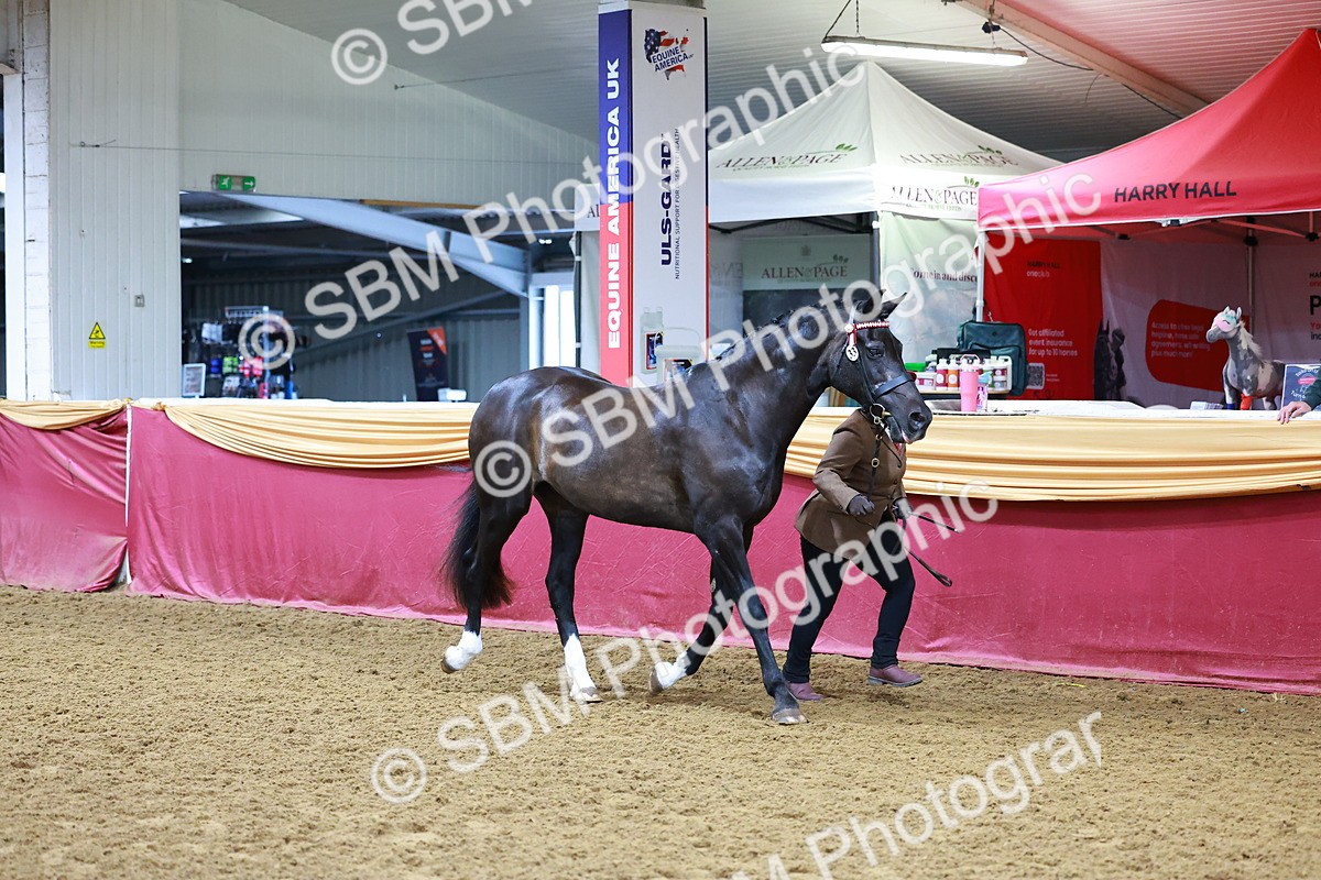 SBM_15987 - Class 901 - Sup Final - IH Diamond