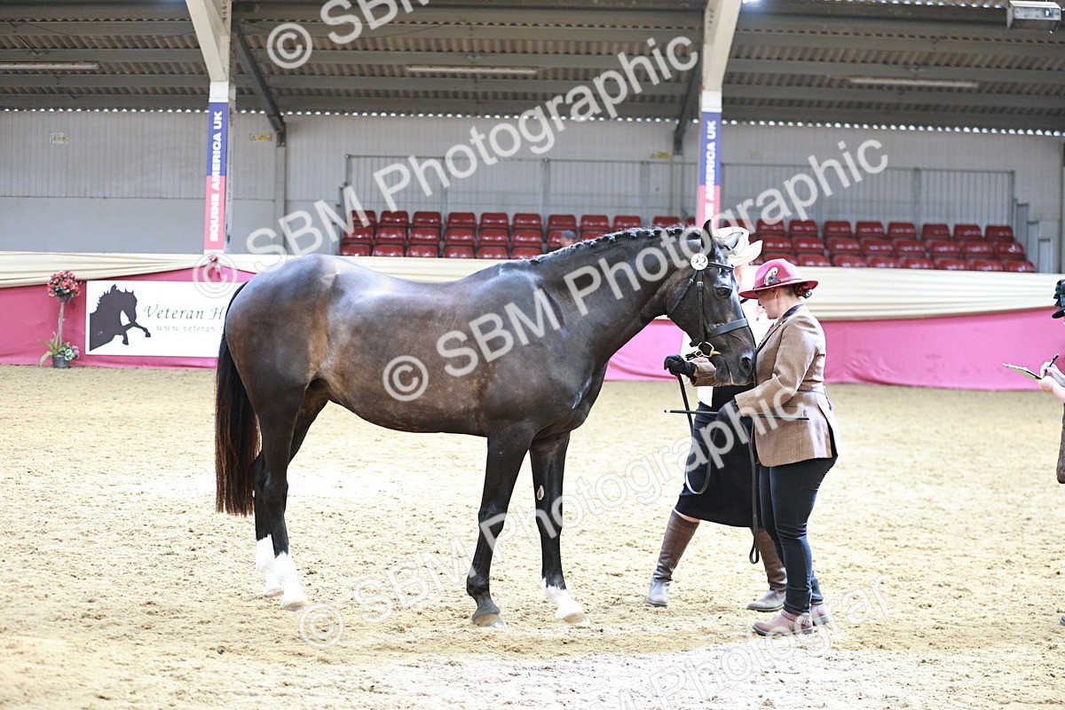 SBM_04804 - Class 7R - Regional IH Diamond