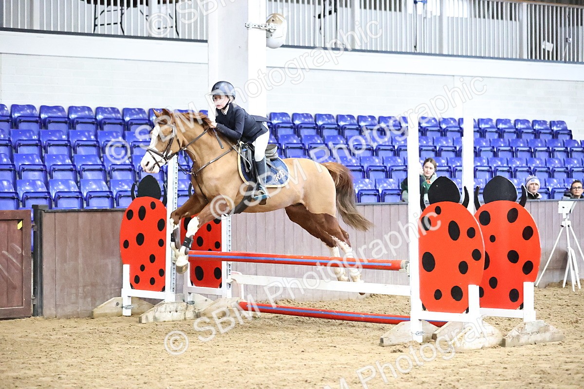 SBM_001299 - Class 9 - Pony British Novice 80cm