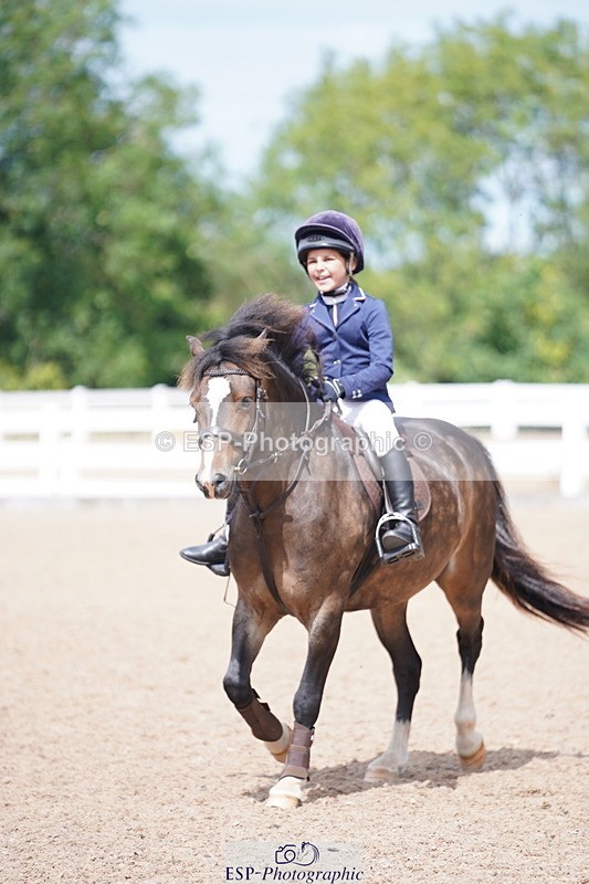 240809A-122156-00959 - Showjumping Competition