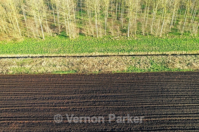 Trees and Ploughed Field Pentney - Ariel Landscapes