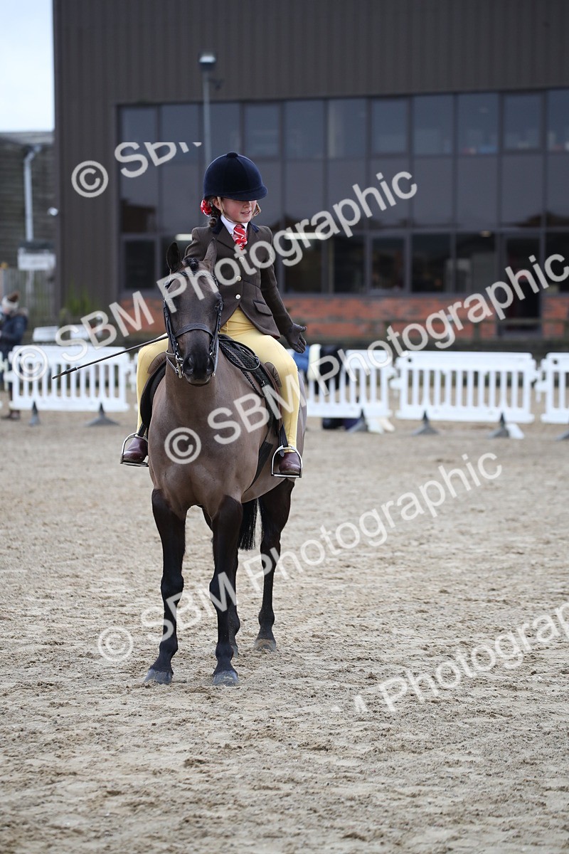 SBM_004668 - Class 5-9 - NPS In Hand-Show Hunter-Intermediate Ridden Inc Ridden Championship
