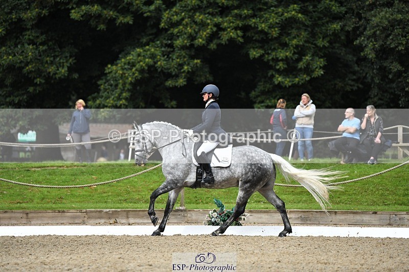 230812-103928-03431 - Cls 6 Novice Silver 10.30 to 11.55 break