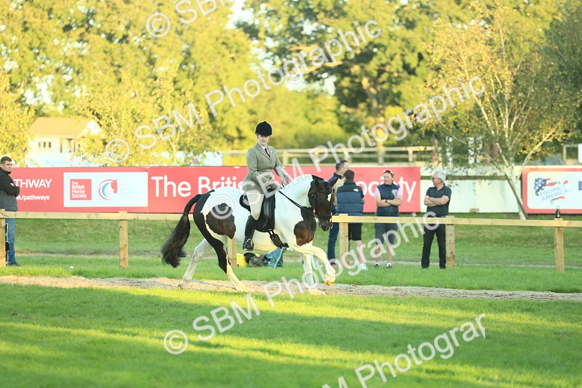 SBM_56496 - S14 - Riding Club Horse