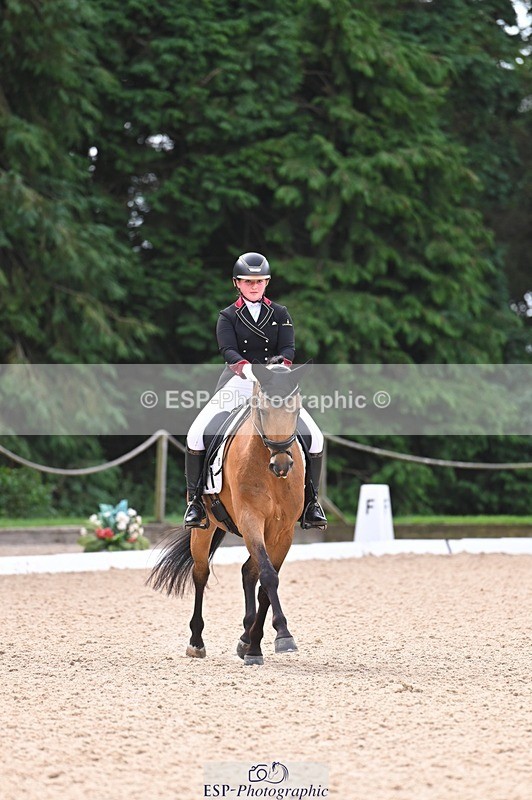 240809-104542-00381 - 173-Daisy.Winkle-Decandro.Hit.LDS