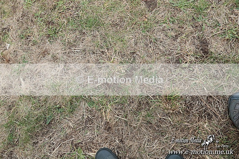 PtPres 160225164 - Presentations Combined Services PtP 16/02/25