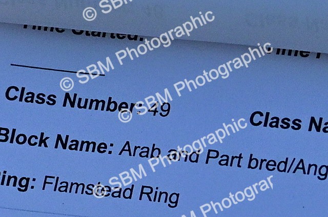 SBM_00934 - Class 46-49 - Arab and Part Bed-Anglo Arab In Hand