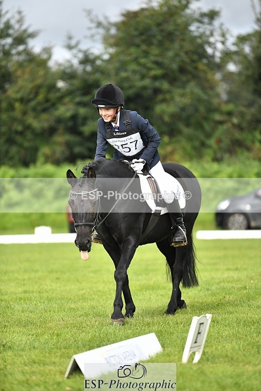 230826-095222-15273 - Sections C & D 9 to 10am