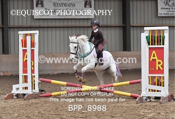 BPP_8988 - CLASS 1 Beginners Show Jumping