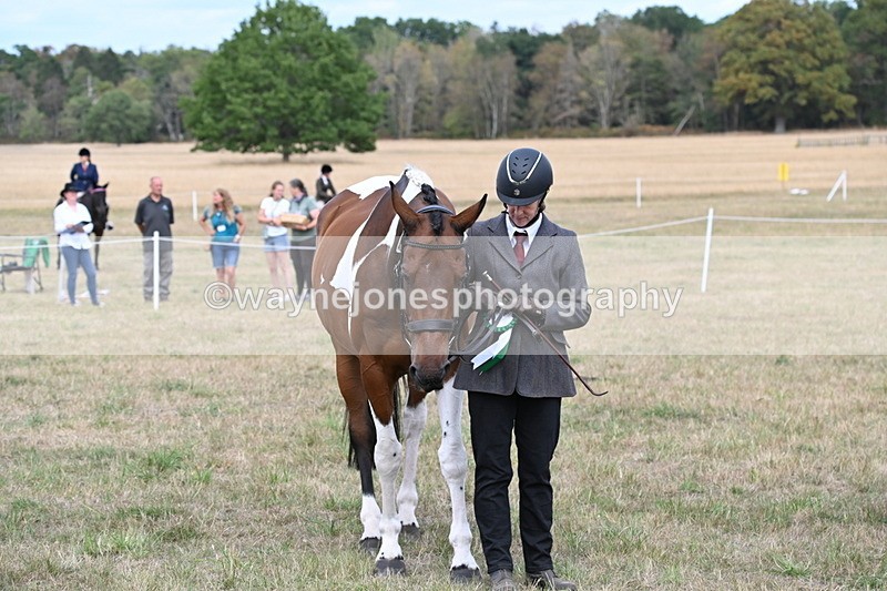 WJ6_6318 - Class 19 In-hand Veterans (Uploaded correct folder)