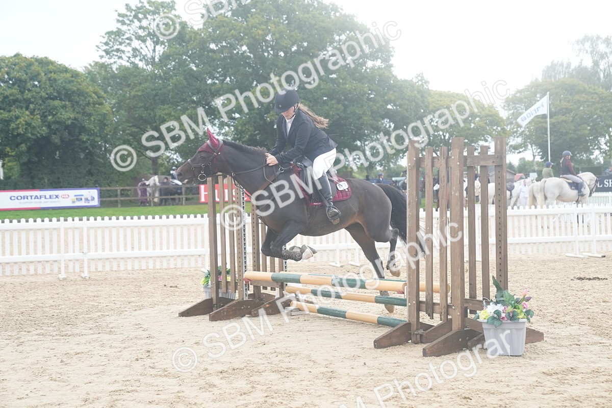 SBM_01917 - J54 - Clear Round 50cm