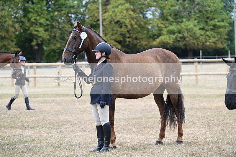 WJ7_0204 - Class 5a Most Handsome Gelding (above 14.2hh)