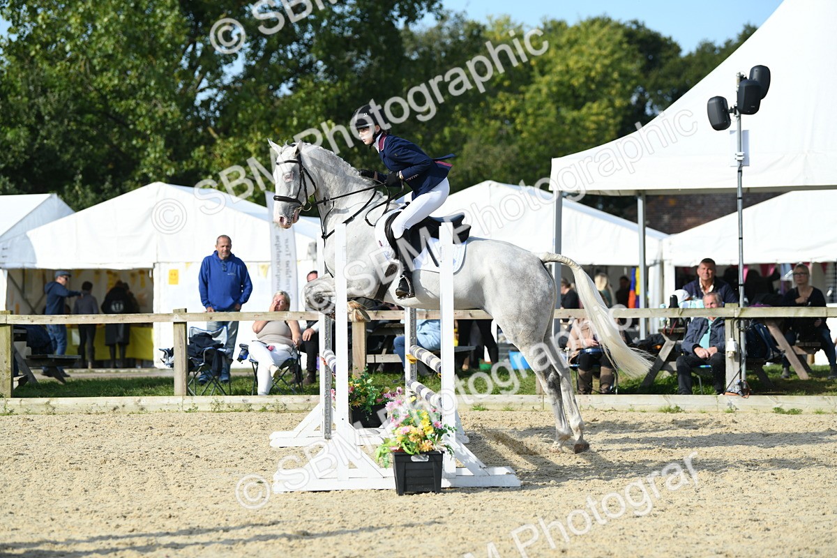 SBM_60611 - j25 - Junior Horse 80cm Championship