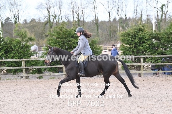 BPP_7002 - RING 1  (RIDDEN HORSES / IN HAND / VETERAN ETC)