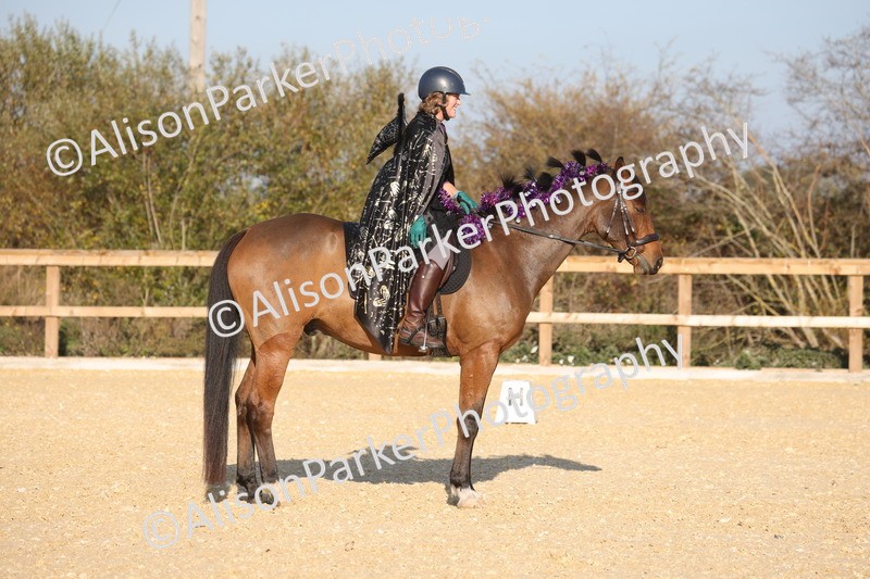 L20261031-0137 - Class 5 - Novice 2