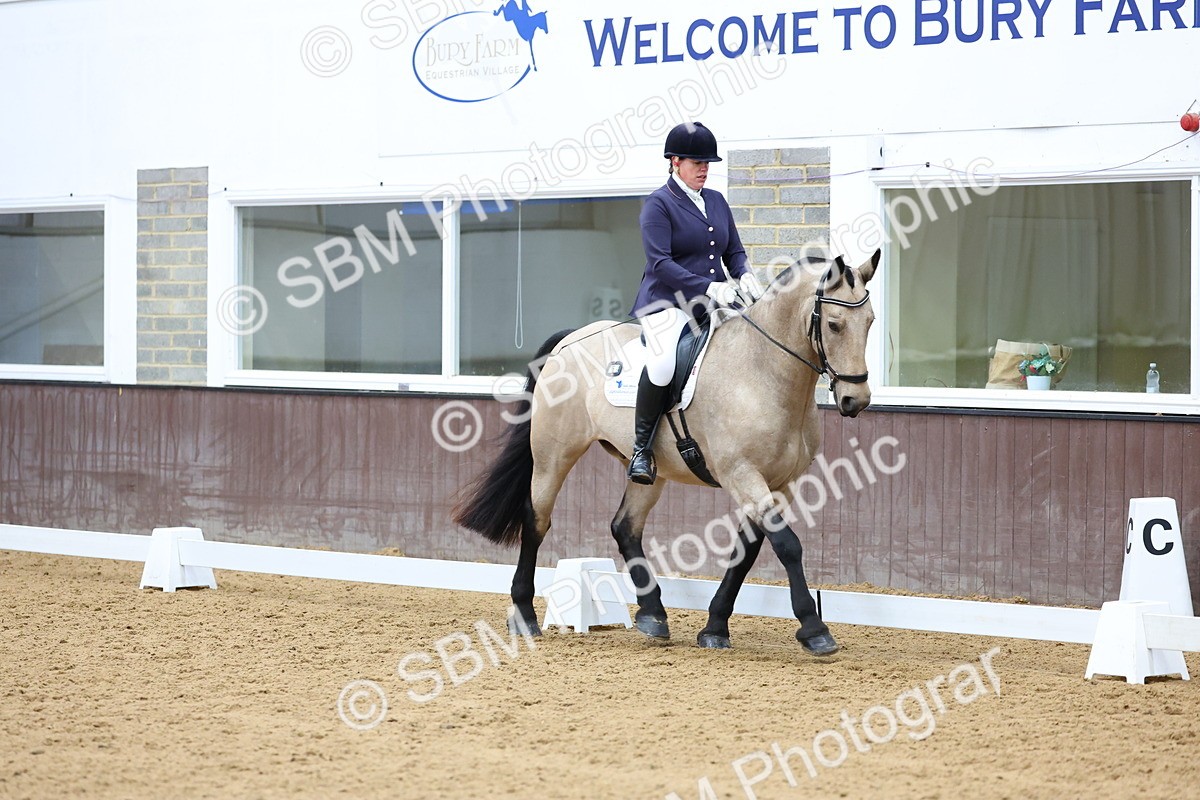 SBM_003864 - Elementary 1